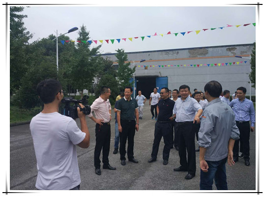 龙8头号玩家集团